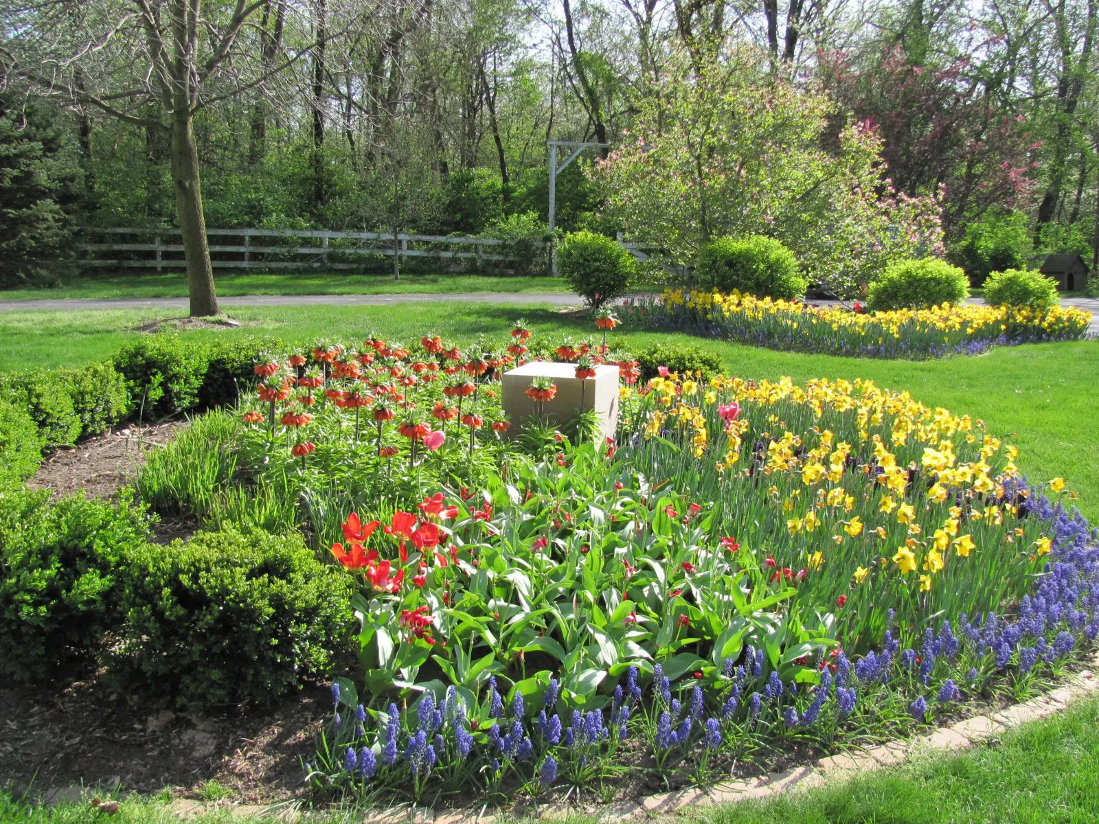 A garden with many different flowers and trees.