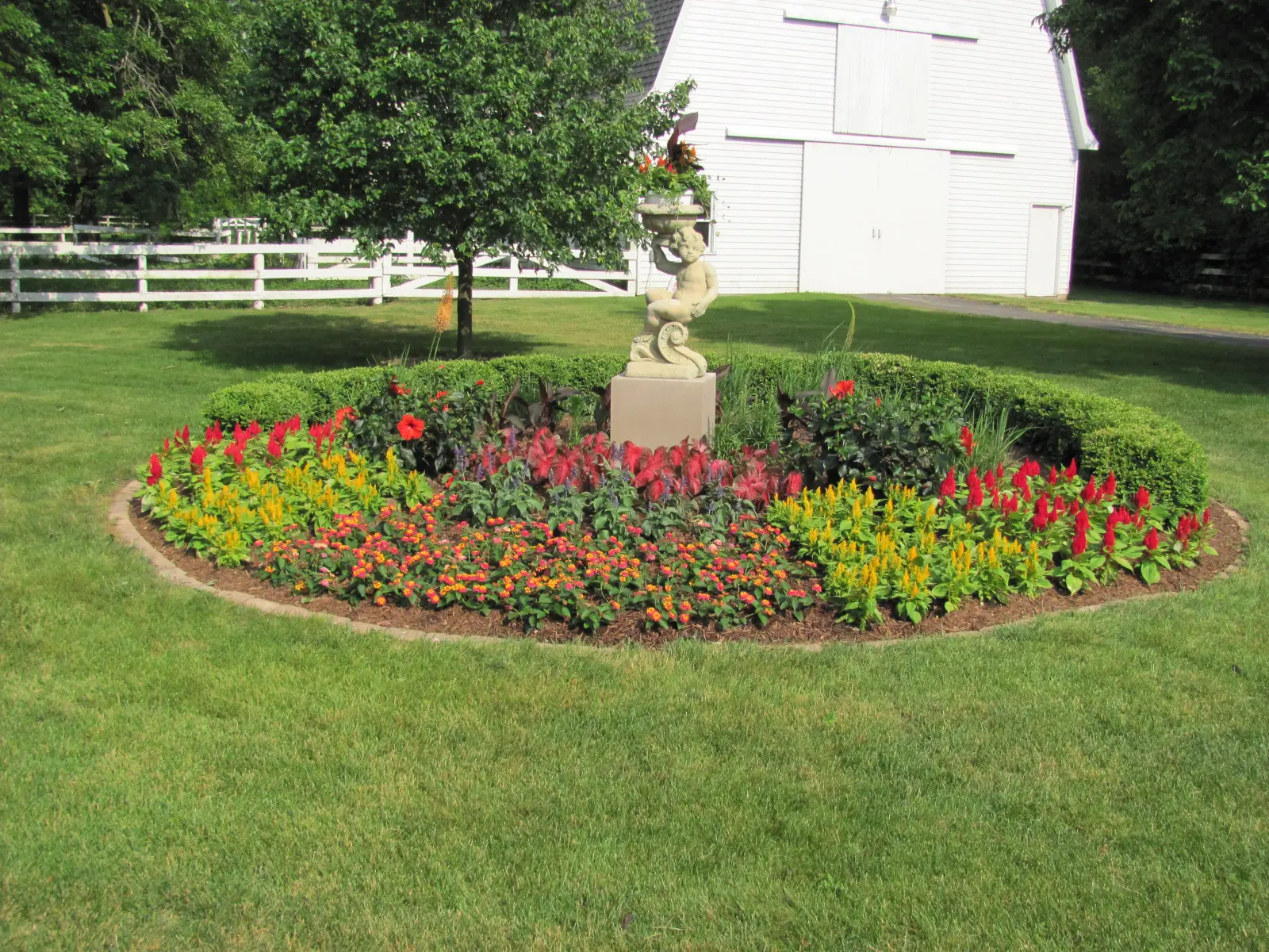 A garden with many flowers and trees in the background