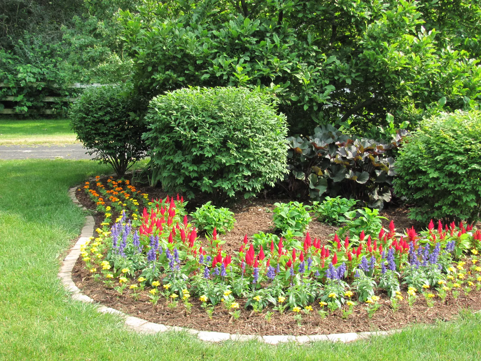 A garden with many different flowers and bushes.