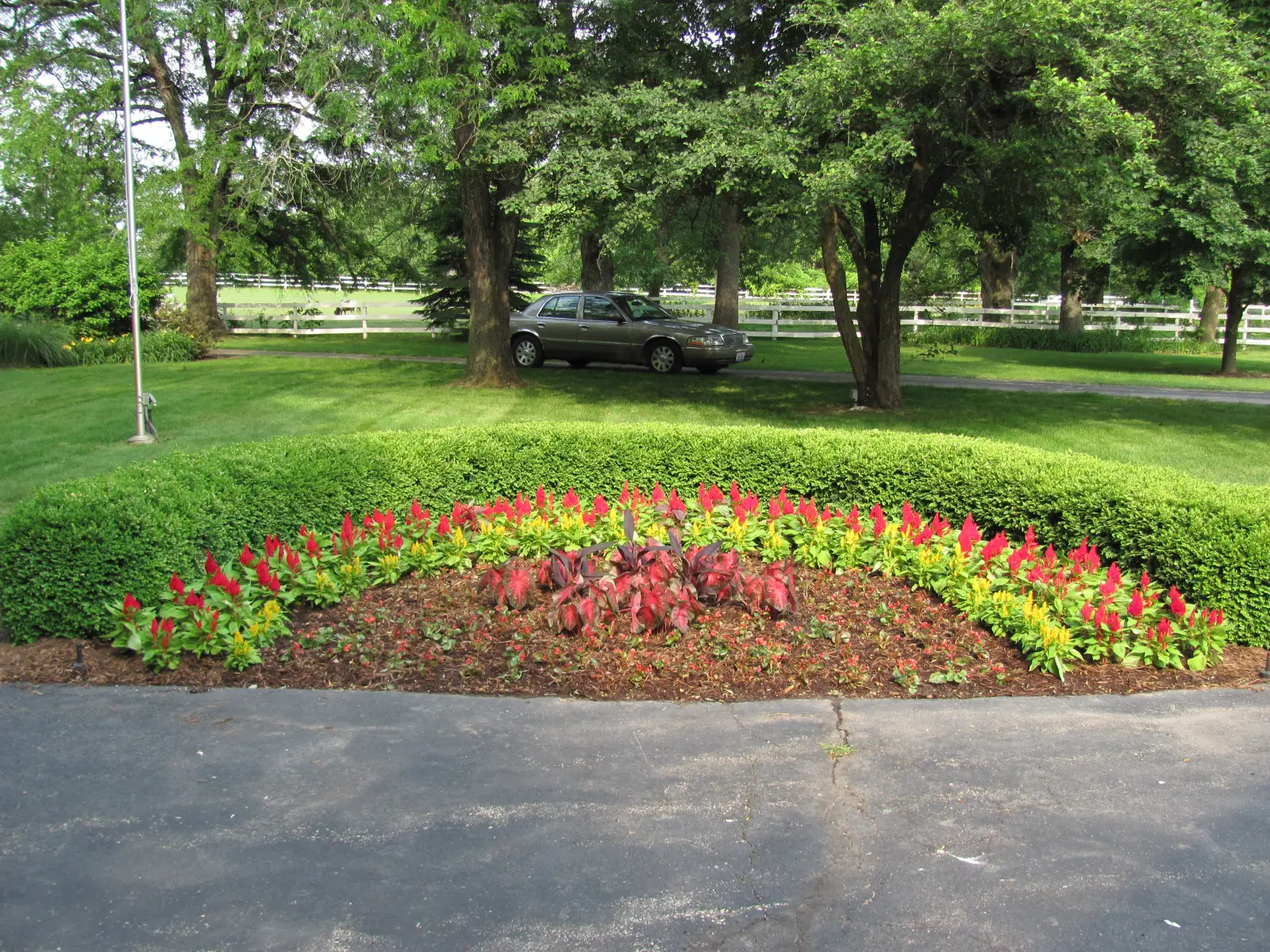A car parked in the driveway of a park.