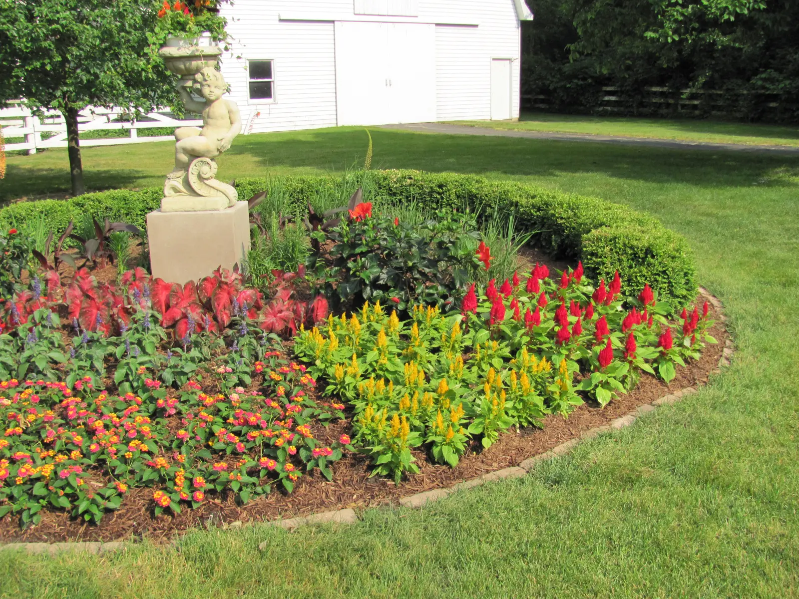 A garden with many flowers and bushes