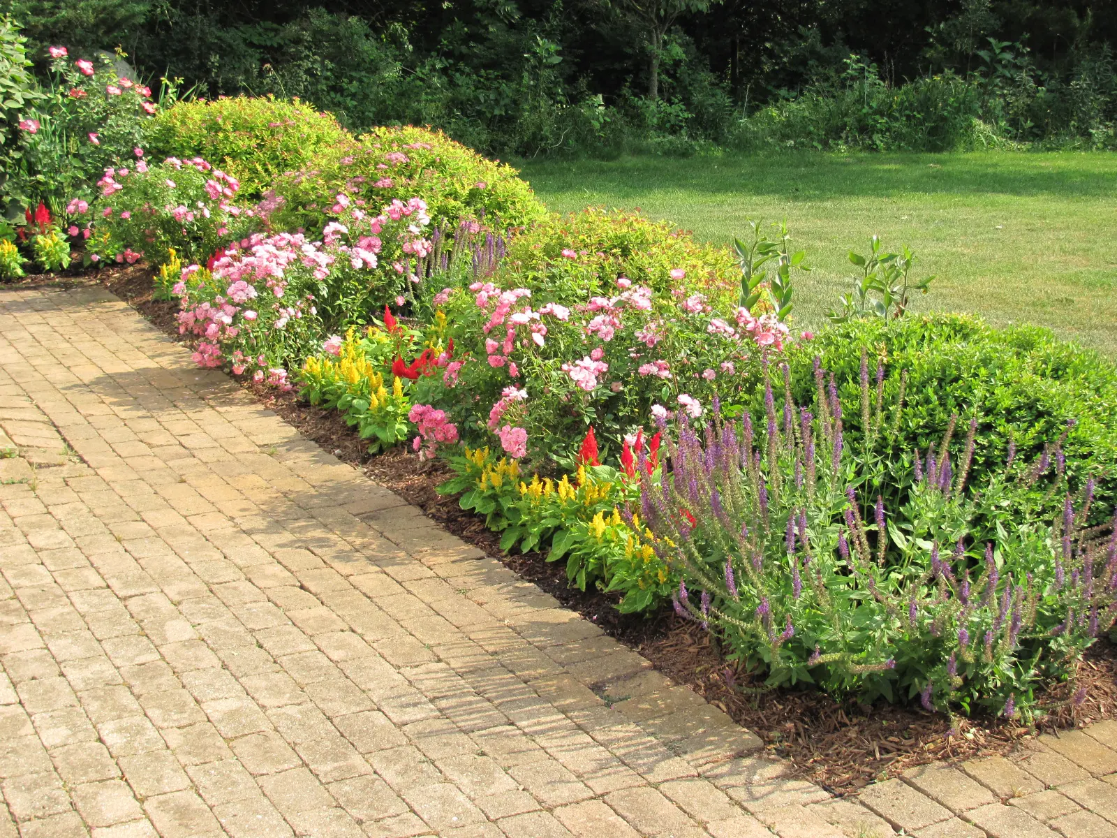 A brick walkway with flowers in the middle of it.