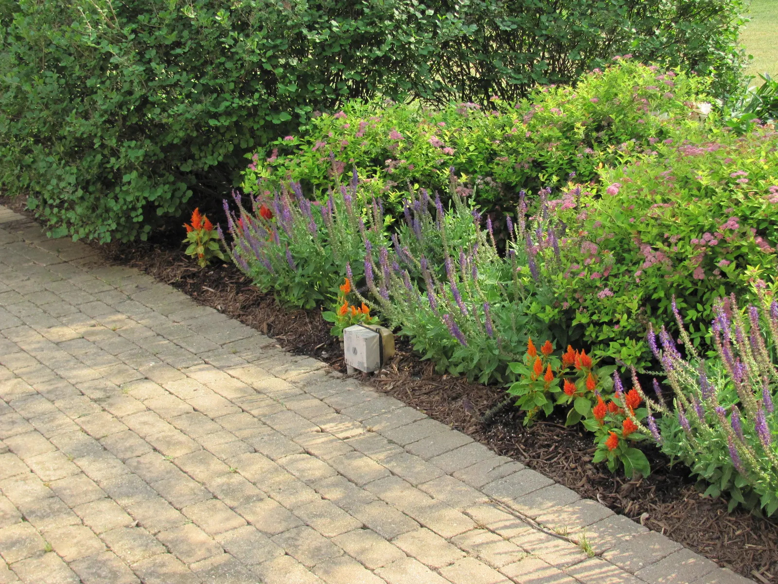 A brick walkway with flowers in the middle of it.