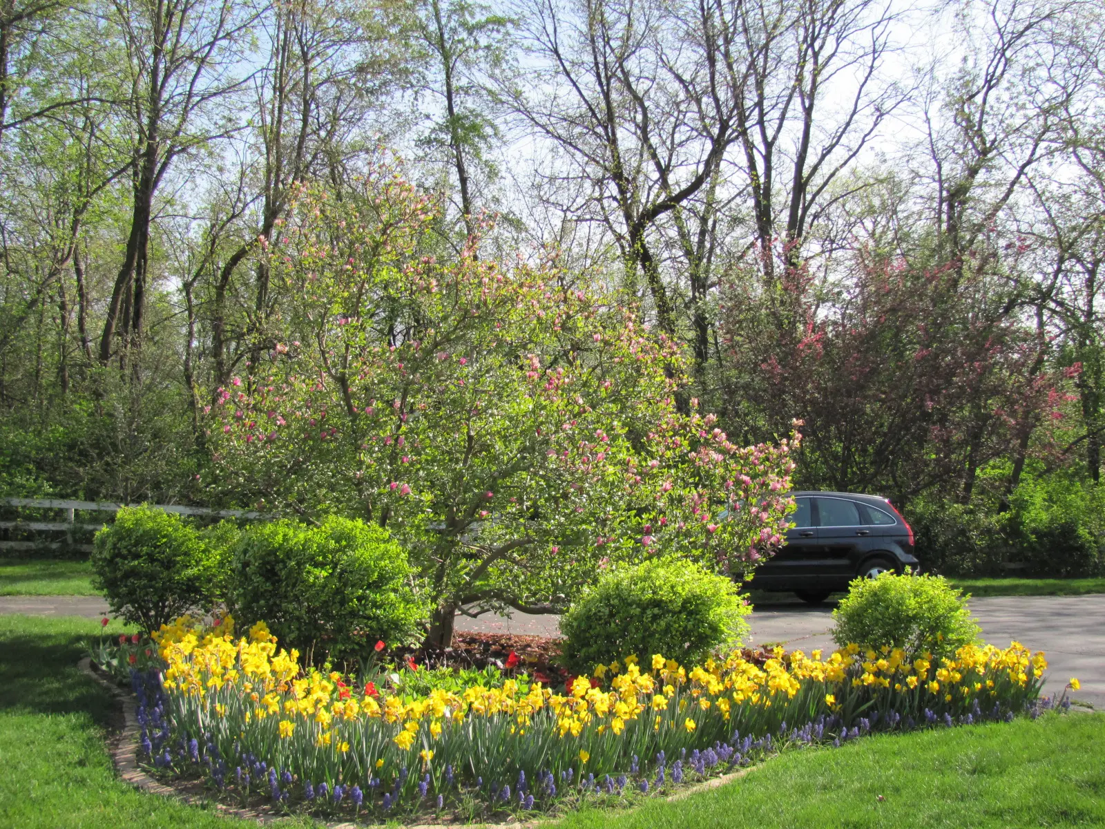 A car parked in the middle of a garden.