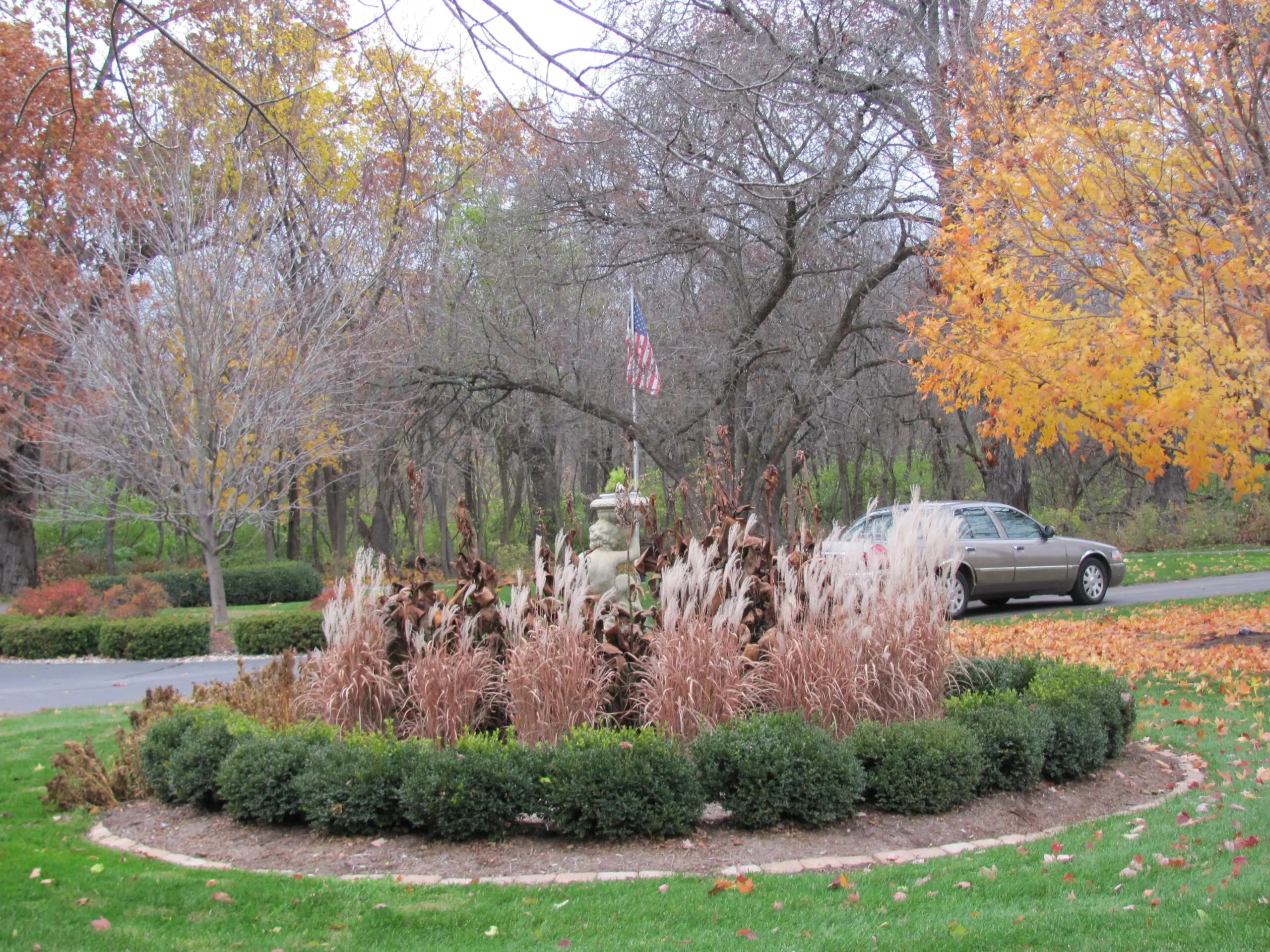 A car parked in front of a garden with bushes and trees.