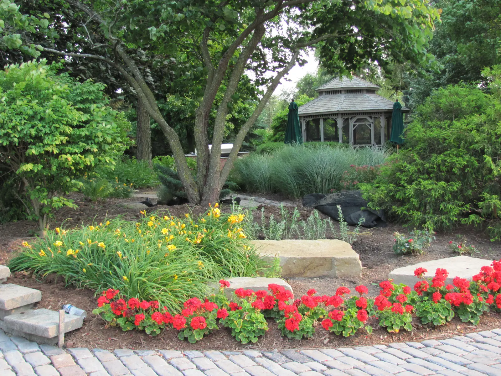 A garden with red flowers and trees in the background.