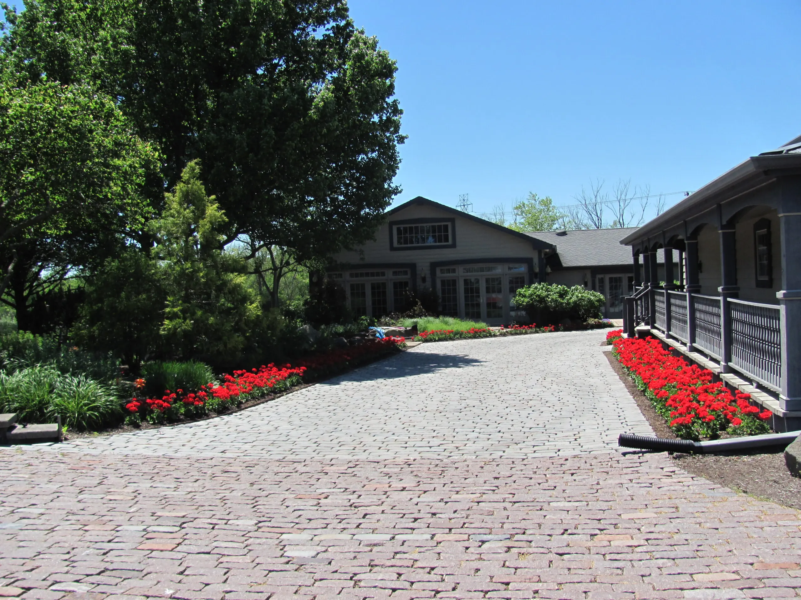 A brick driveway with red flowers in the middle of it.
