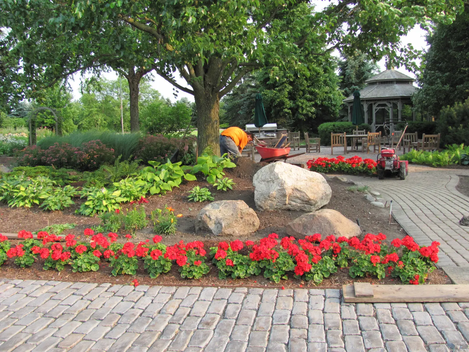 A garden with red flowers and trees in the background.