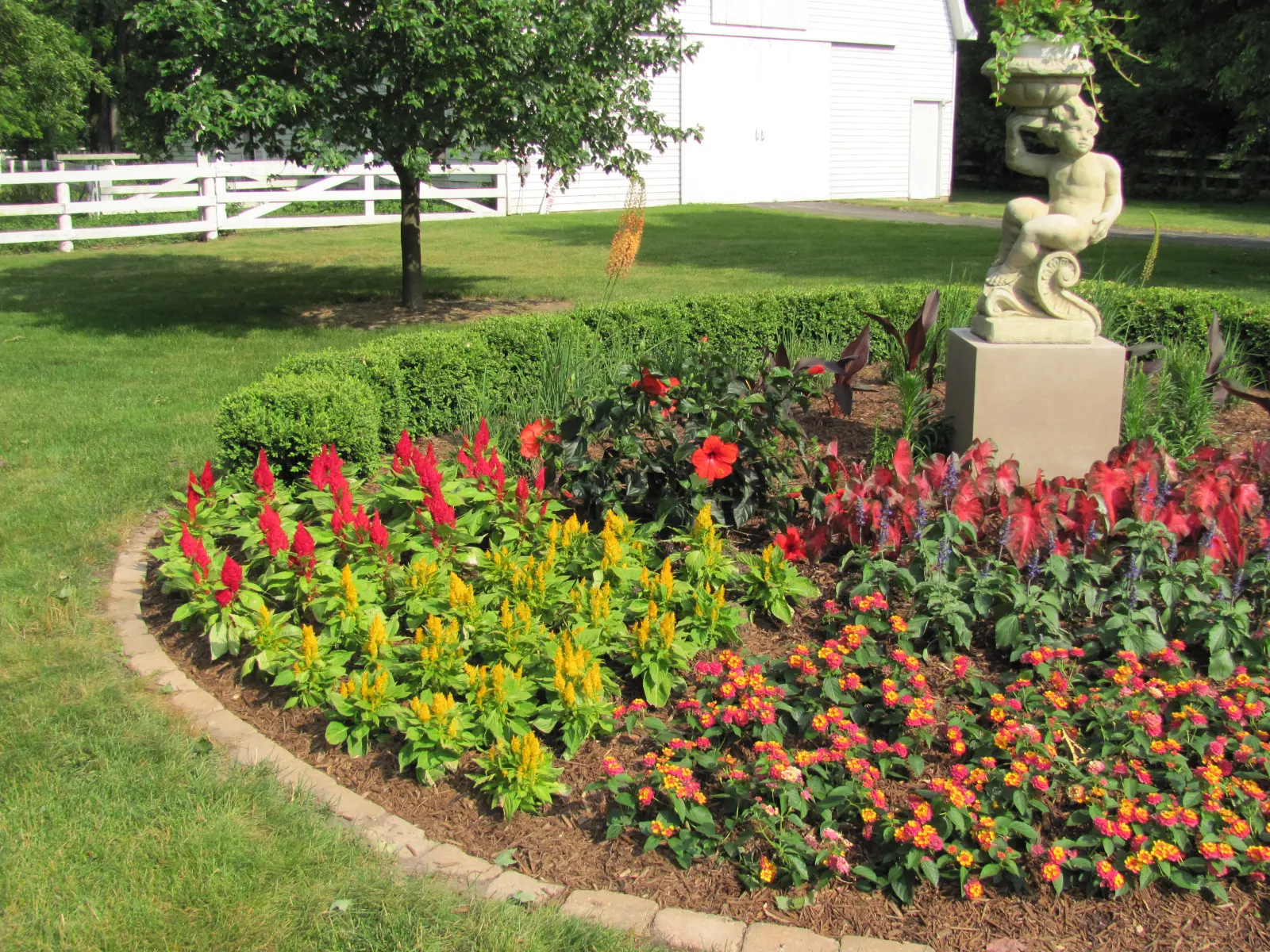 A garden with many different flowers and bushes
